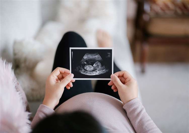 Rohan Fertility Center Blog